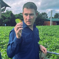 Rafael Schirrmann Nitsche