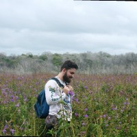 Mateus Sandrini