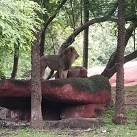 Garlapati Ashok
