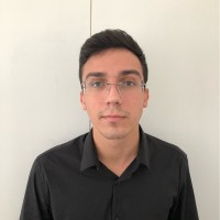 Henrique Lima dos Anjos