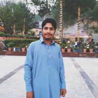 Dani Qureshi