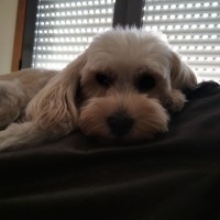 Juan Carlos González Pereira