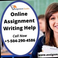 Online Assignment Writing Help