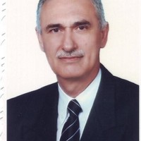Prof. Dr. Amir Mohammed-Ali