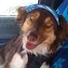 Bobbie M Rigby