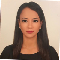 Gülçin Kurt