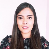 Iridian Pineda Lara