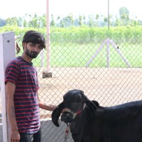 Pathak Abhishek