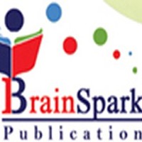 BrainSpark Publication