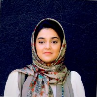 Arghavan Rokni