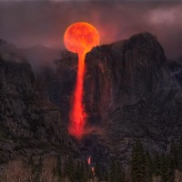 Aurimas Steponavicius