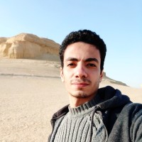 Ahmed Shahawi