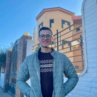 Hussein Tarek