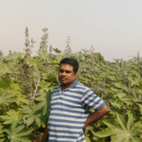 Ravi Babu