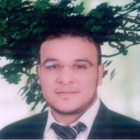 Mahmoud Mesameh