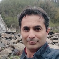 Mohsen Shafei