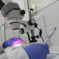 martha cecilia patiño socha