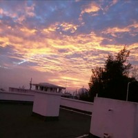 杨东东