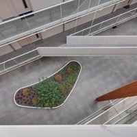 Eugene Van Den Acker