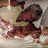 Dena Gottlieb Gottlieb