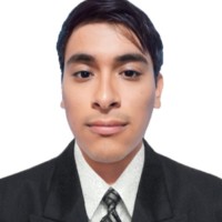 Ricardo Guardamino Mendoza