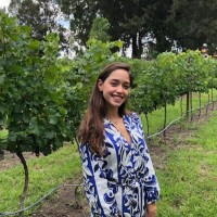 Ana Ximena Saenz Rosales