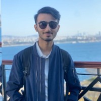 Muhammad Shayan Sheikh