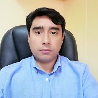 Luis Vergara Palacios