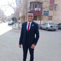 Mohamed Shehata