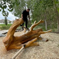 Shane Brown, Pla, Asla