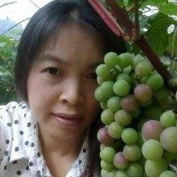 翟小梅