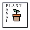 Plant Pasal