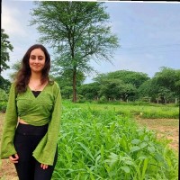 Vanshika Sachdeva