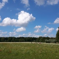 Landgoed Bleijendijk