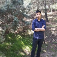 Mohsen Moridi