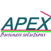 Apex Business Solutions