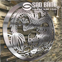 Laser Sao Băng