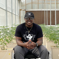 Kadavion Bush