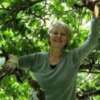 Elissa Poole PhD