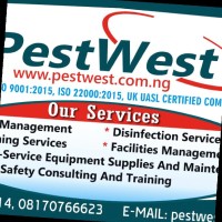 pest west