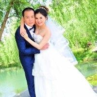 郑会志
