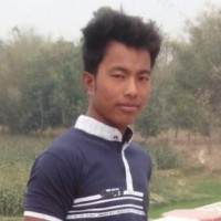 Ramesh Roy