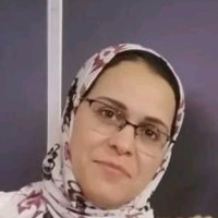 mayada elmassry