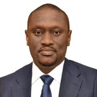 Dr Ifeanyi Chukwunonso Okeke, Fca, Acti.