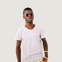 Kedi Visuals