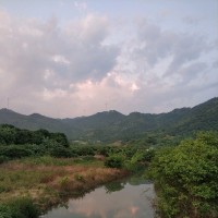 张松鑫
