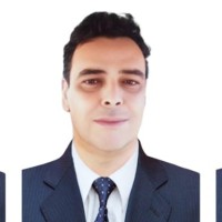 Luiz Henrique de O. Bueno