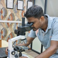 Ashok Raut