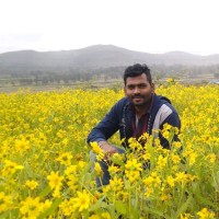 Raja Mohan
