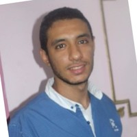 Hossam Mohamed Alaa